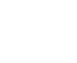 Programa Transportador